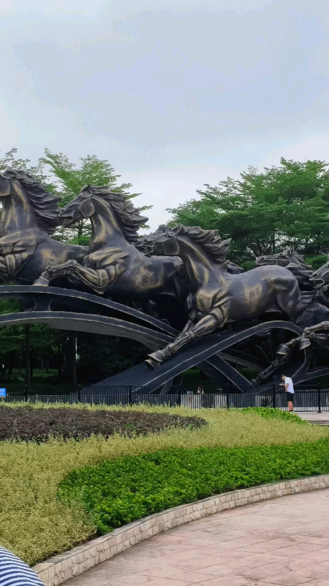 参观深圳宝安灵芝公园,体验周末休闲生活