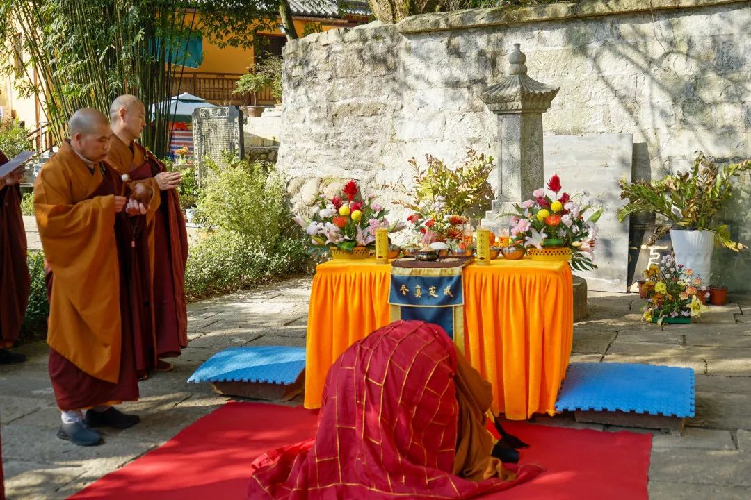 传统节日冬至,各大寺院祭塔礼祖