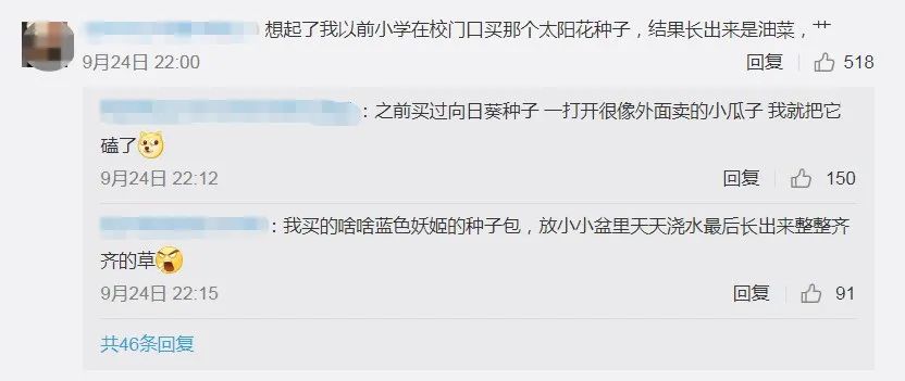|男子网购孔雀蛋,精心照顾一个月,结果孵出……把网友逗乐了