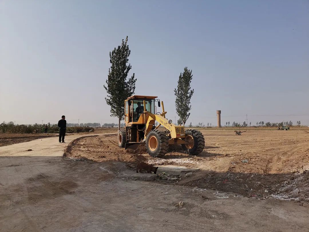 【严细深实快】找王镇:开展农村人居环境整治 让村庄美起来