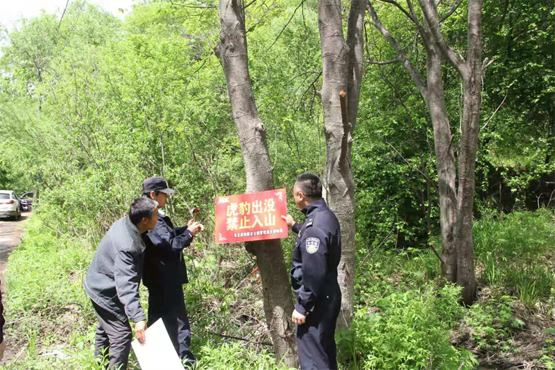 完达山1号放归山林1年,还没找到老婆,为啥国家不给它发一个?