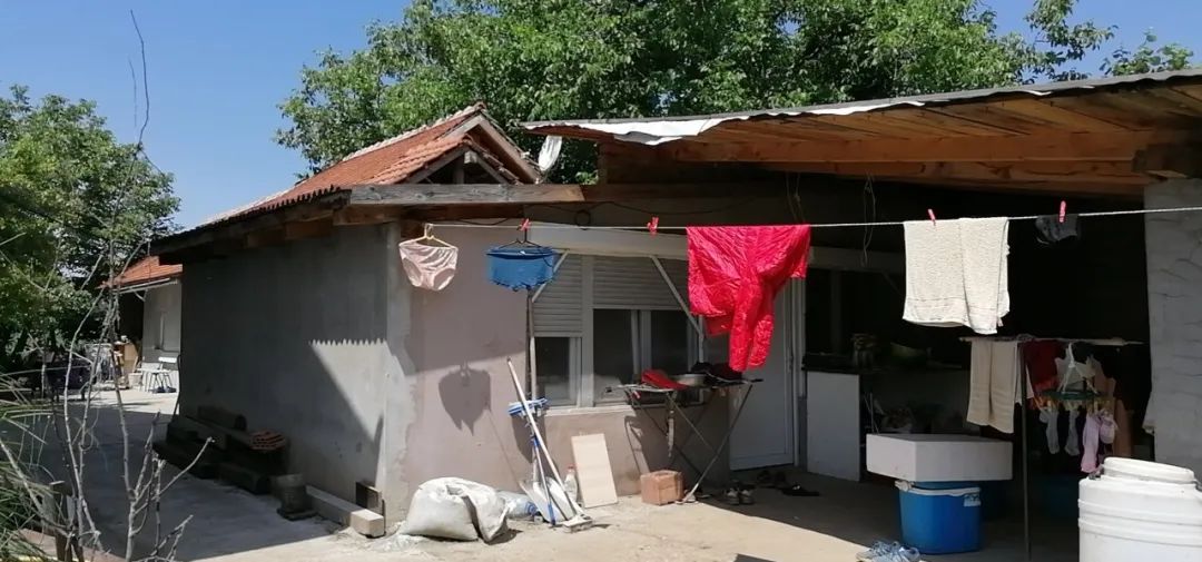 推荐东北大姐滞留塞尔维亚农场，被迫过上如“诗”的田园生活