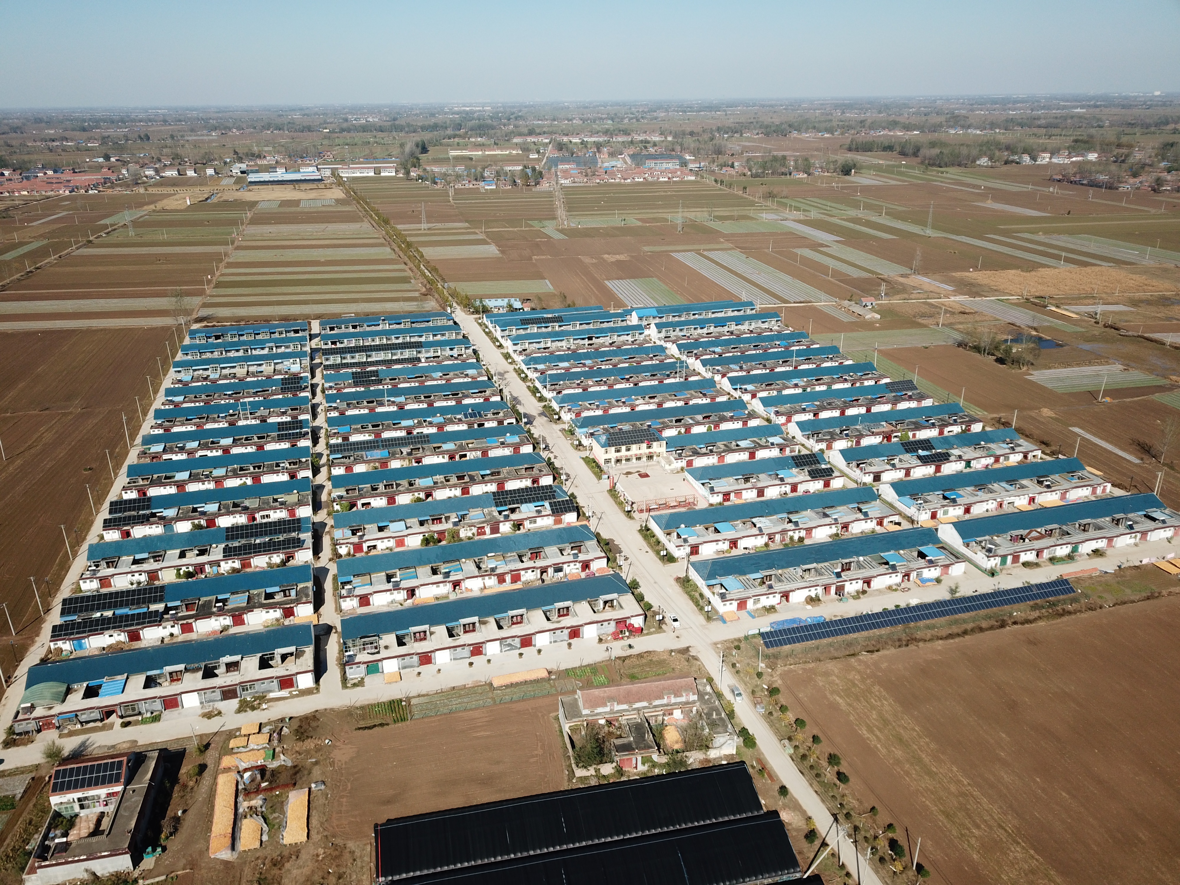 走百村·看振兴|单县时楼镇徐集村:蘑菇棚里有希望