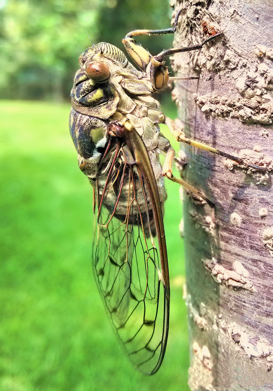 《诗书画艺术》小组每日诗友交流联佳联选刊(第100期)