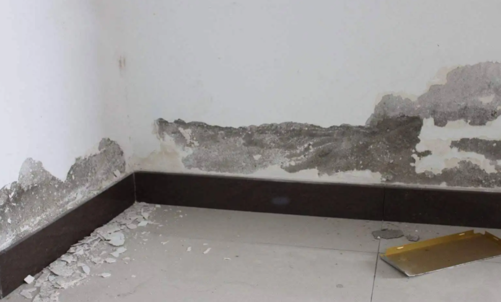 引起墙面烂墙根的一个很重要的原因!其实是地漏接口没有处理好