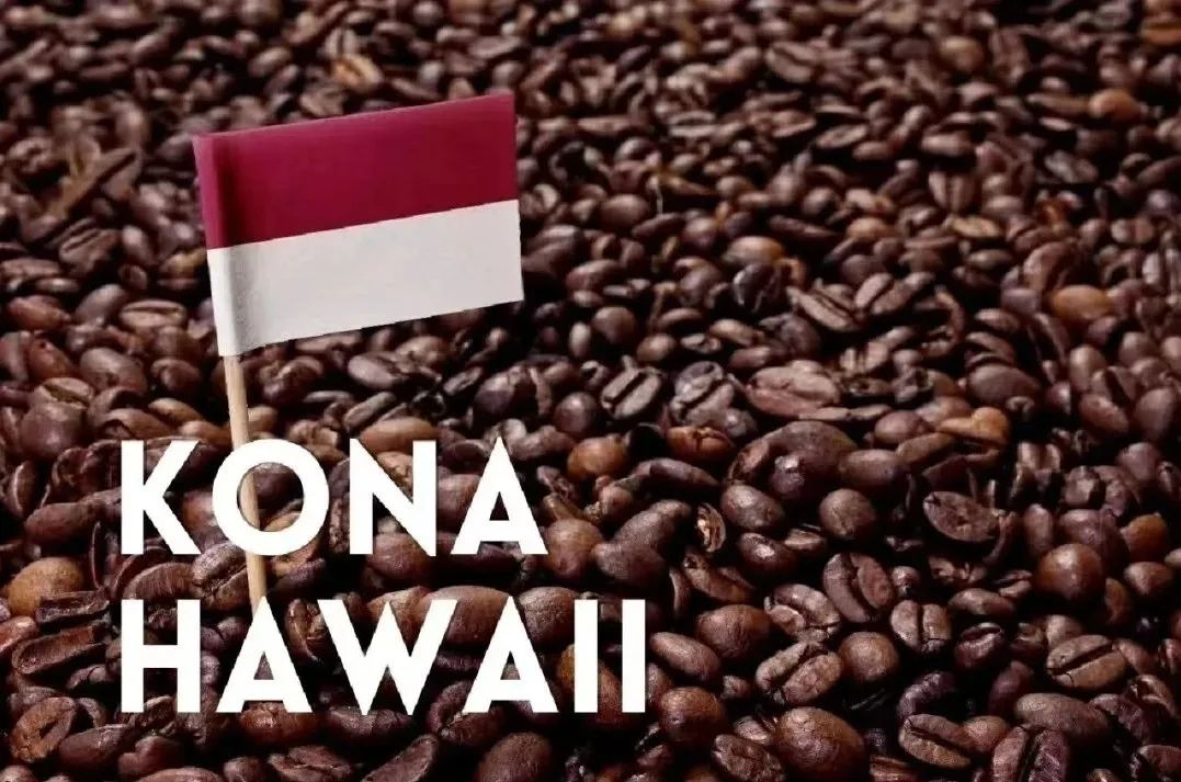 带你认识不同种类的咖啡豆——夏威夷 科纳