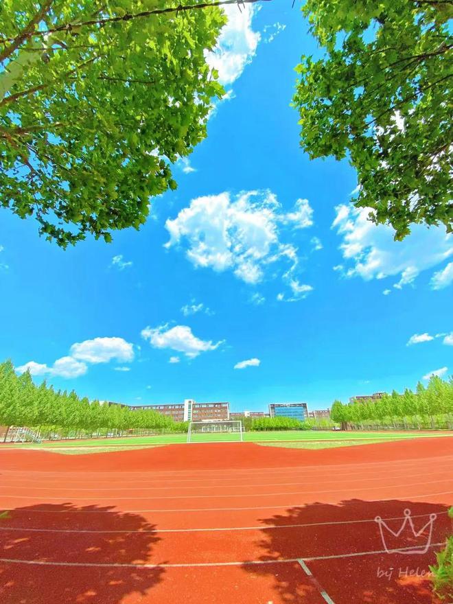 想念校园了吗?一起来"云"赏潍坊校园夏日美景吧