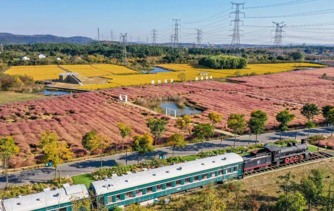 去南京郭兴庄园,来一场秋日梦幻之旅
