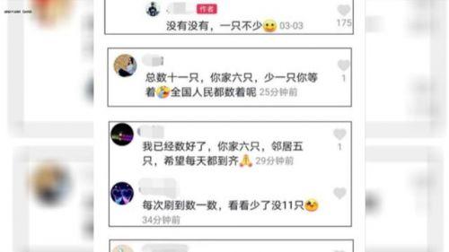 推荐相邻两家鸭子每天自动组队出门，主人故意少放3只，鸭子竟一直等