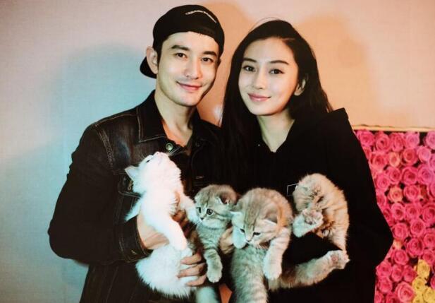 angelababy玩合成大宝贝,玩到这个分数直呼尽力了