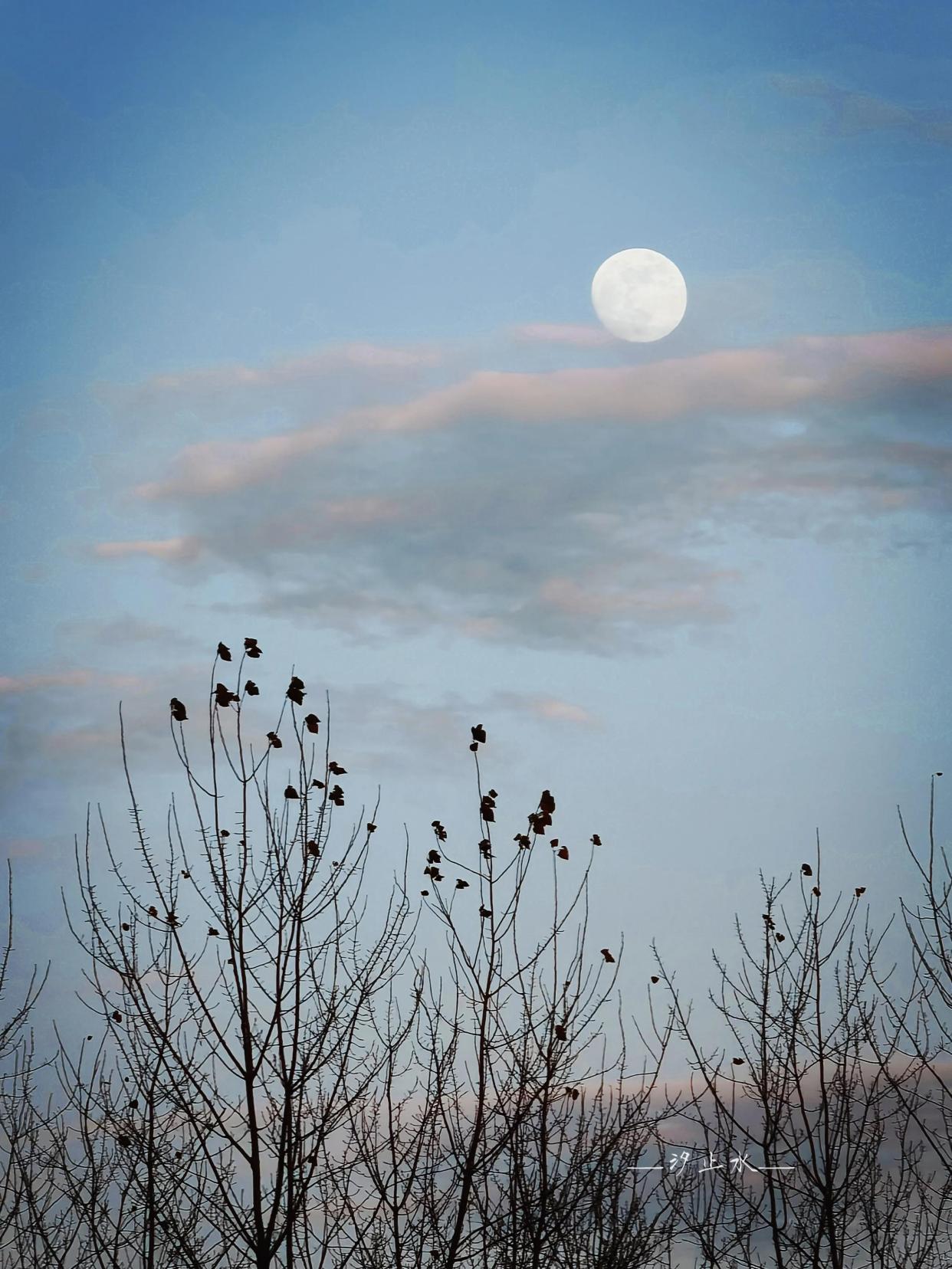 今夜月色清冷,恰好抚平灼灼