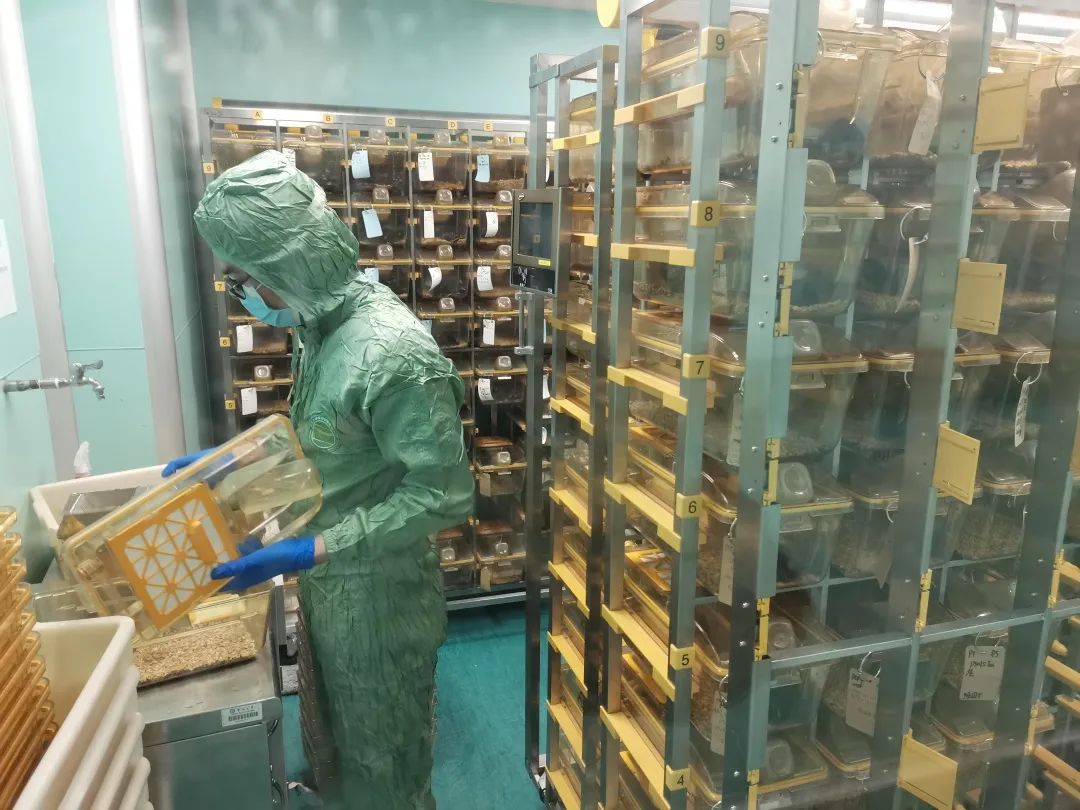 实验室动物房的设计与建设详细的介绍