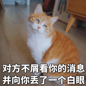 猫咪若是有这几个行为,说明它是白眼狼,永远养不熟!