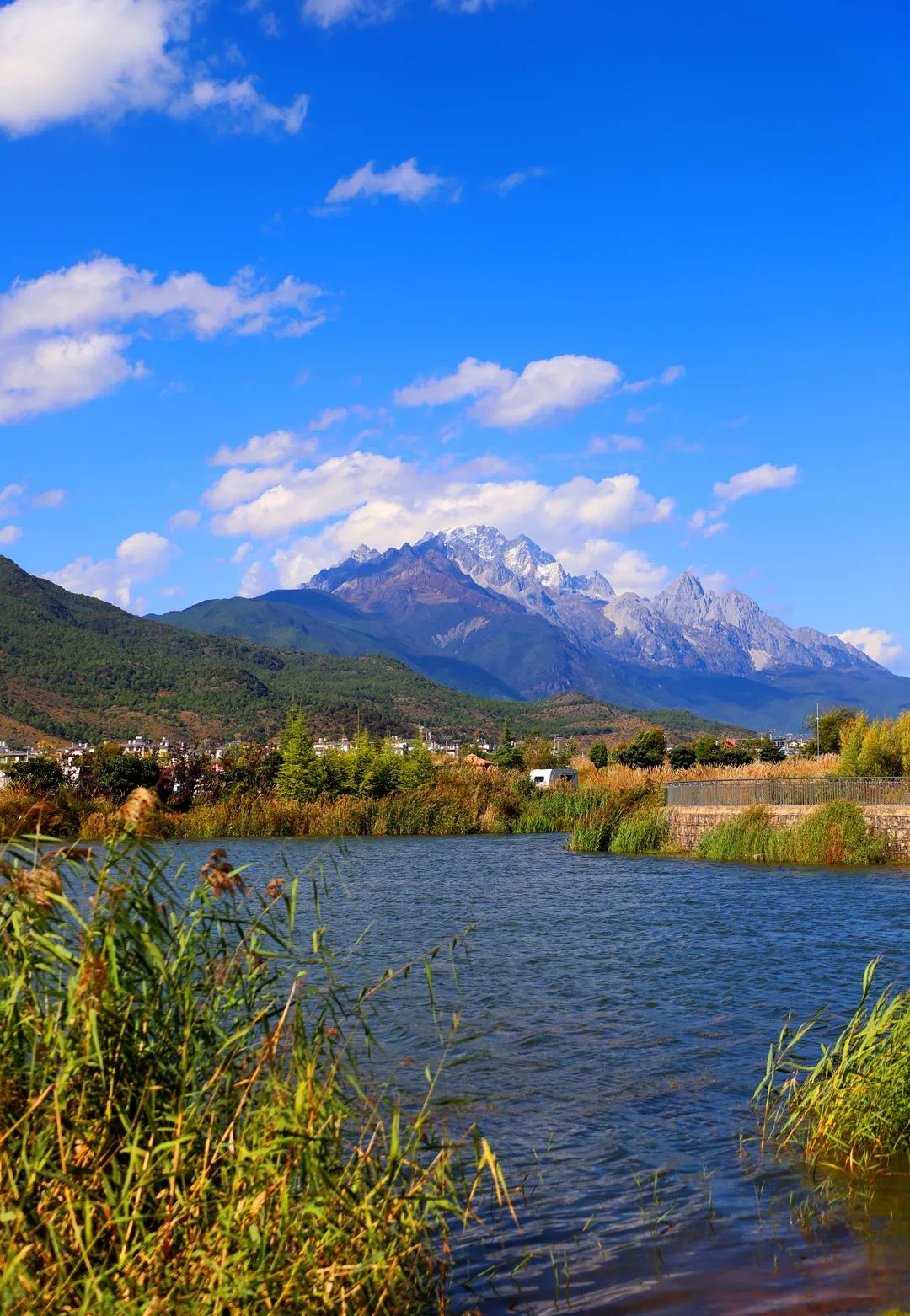 赶紧去打卡!深秋的中济海美得不像话