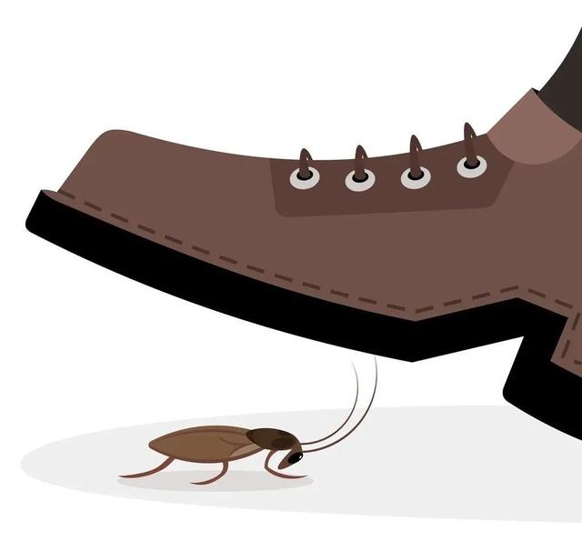 九成人都不知蟑螂"最怕"啥,家里有个它,蟑螂全"消失不见"了