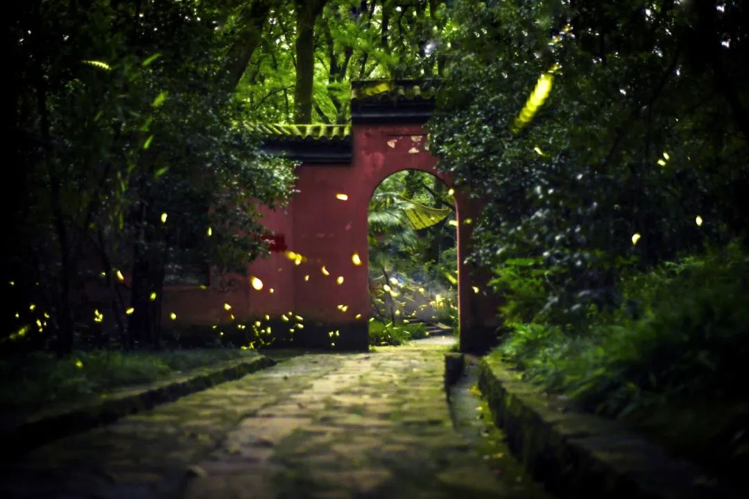 初秋的夜晚,让我们感受秋意来袭