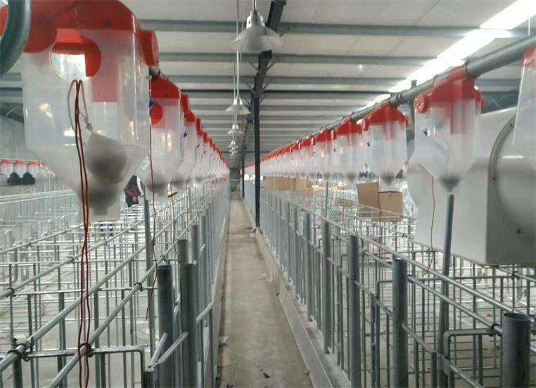 料线在养殖场的作用是什么?