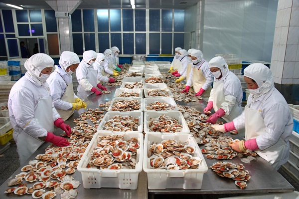 大连食品批发：舌尖上的盛宴