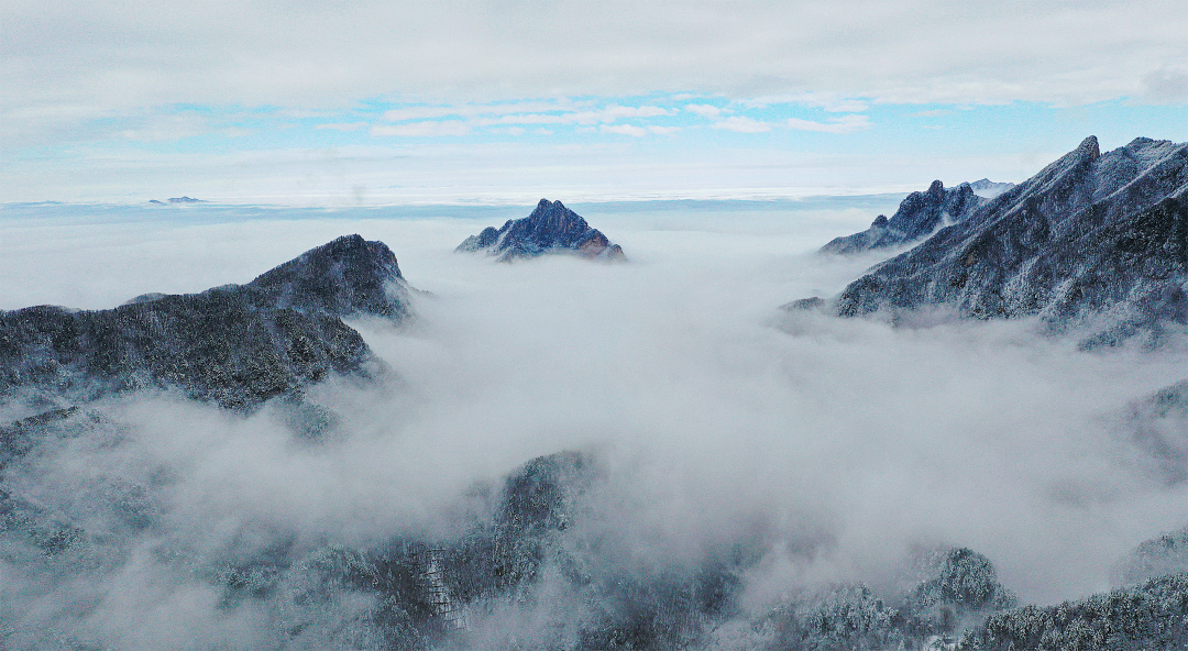 赏松涛云海看初冬美景