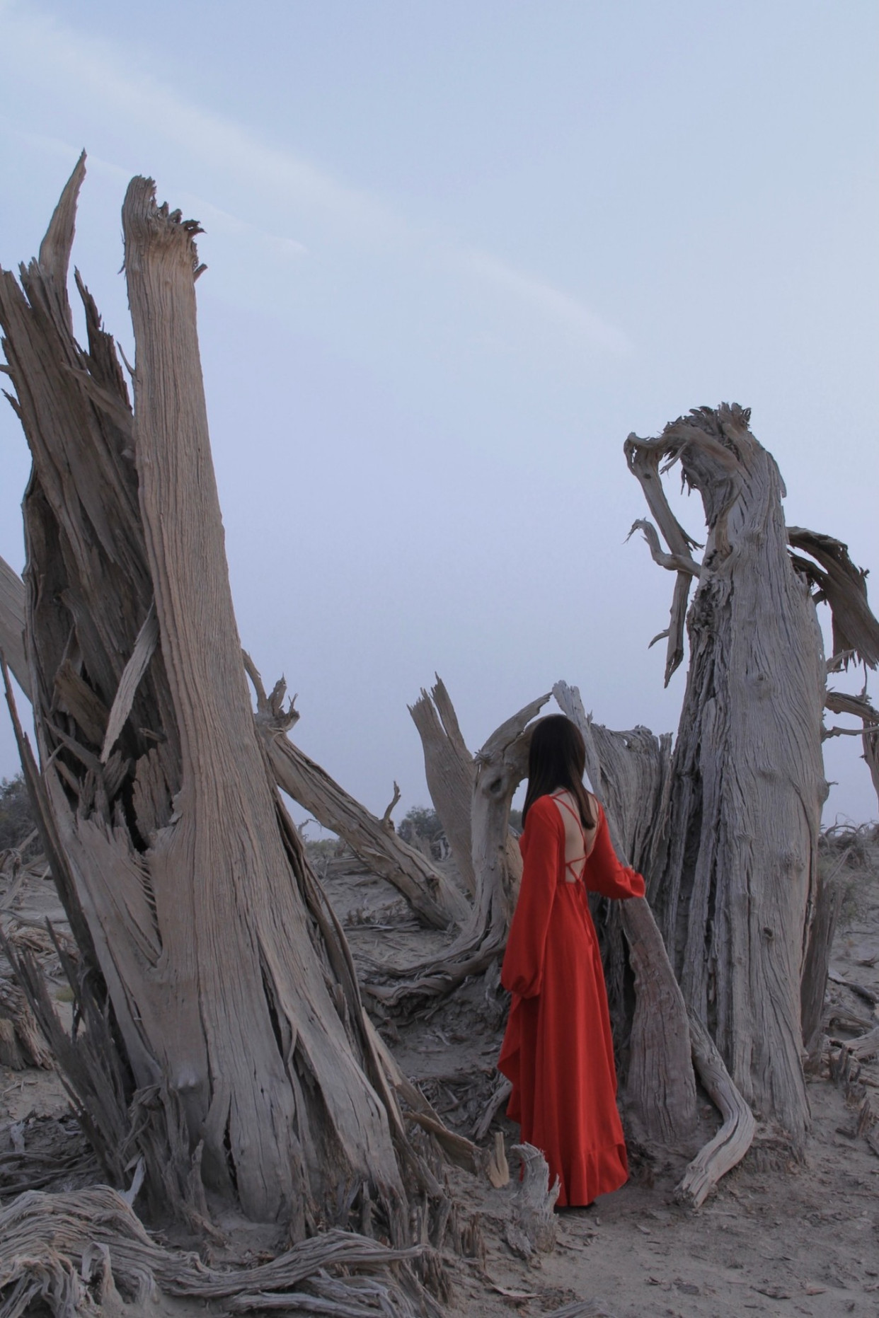 天与地与树,一片苍凉,一派悲壮