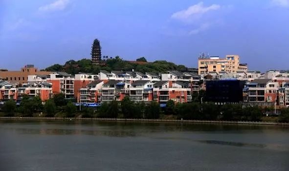 淮口镇|这些老街巷都变了样!