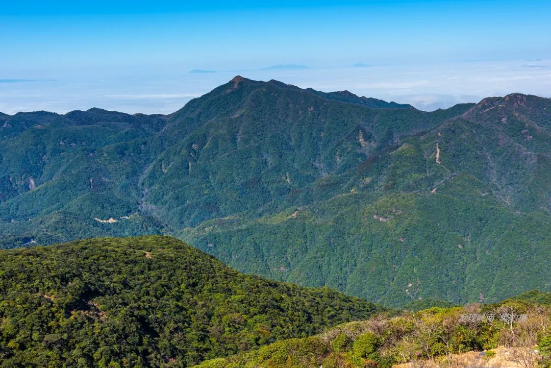 登顶广东最高观景平台,静看南岭群山云卷云舒!