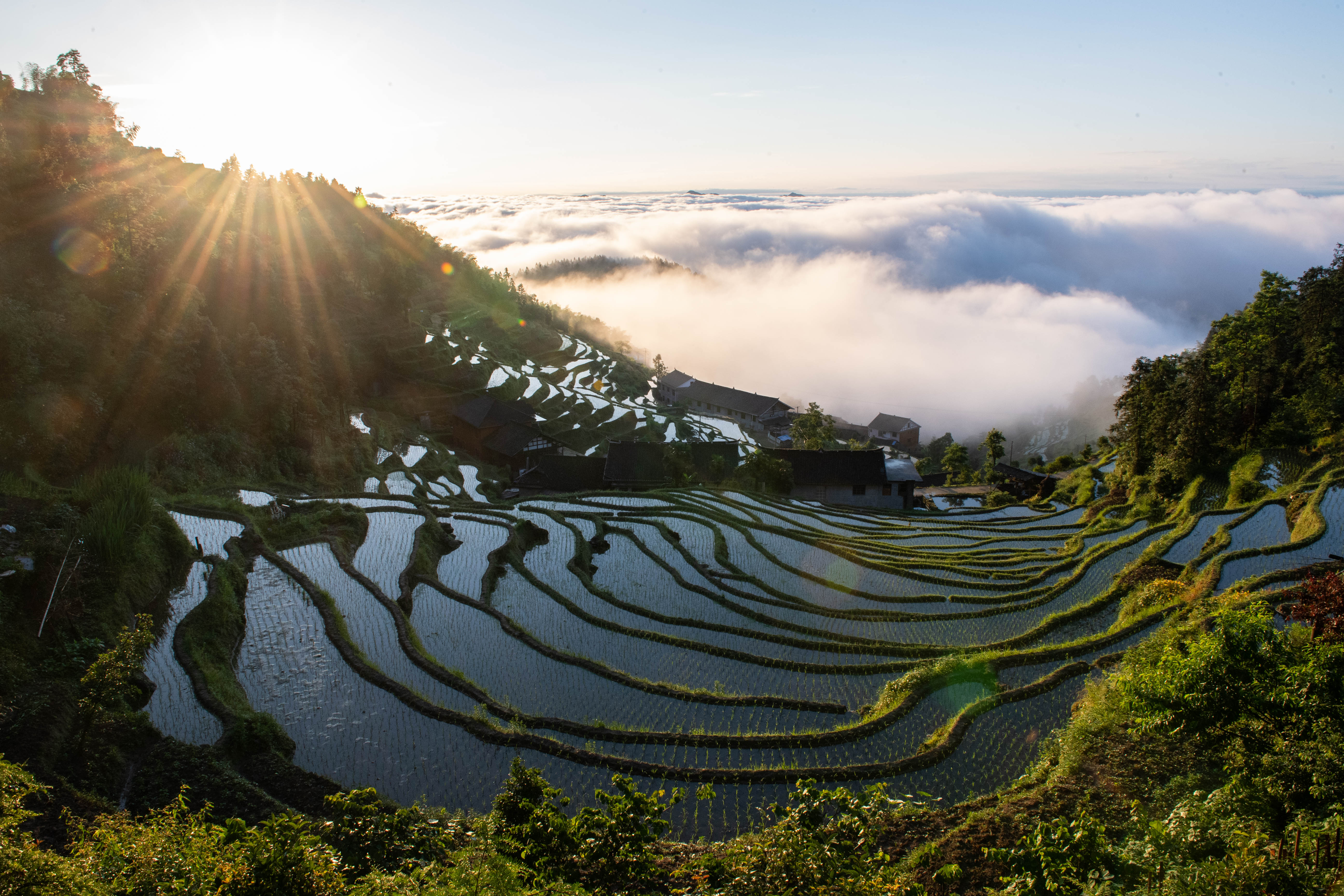 最美乡村风景图片图片