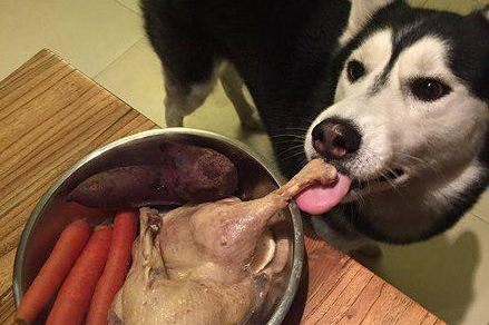 传说中的"干饭狗",一般具备这5大特点!