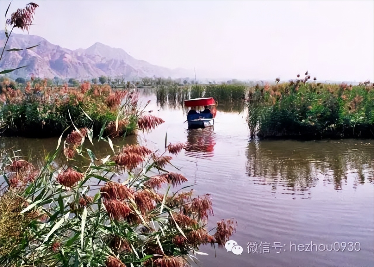 美图|永靖县太极岛湿地乐园