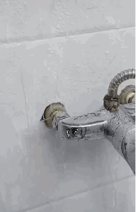 450_700竖版 竖屏gif 动态图 动图