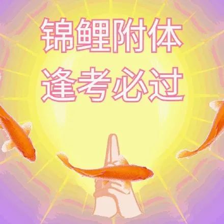 北上广年薪50万,不如回家考公务员?