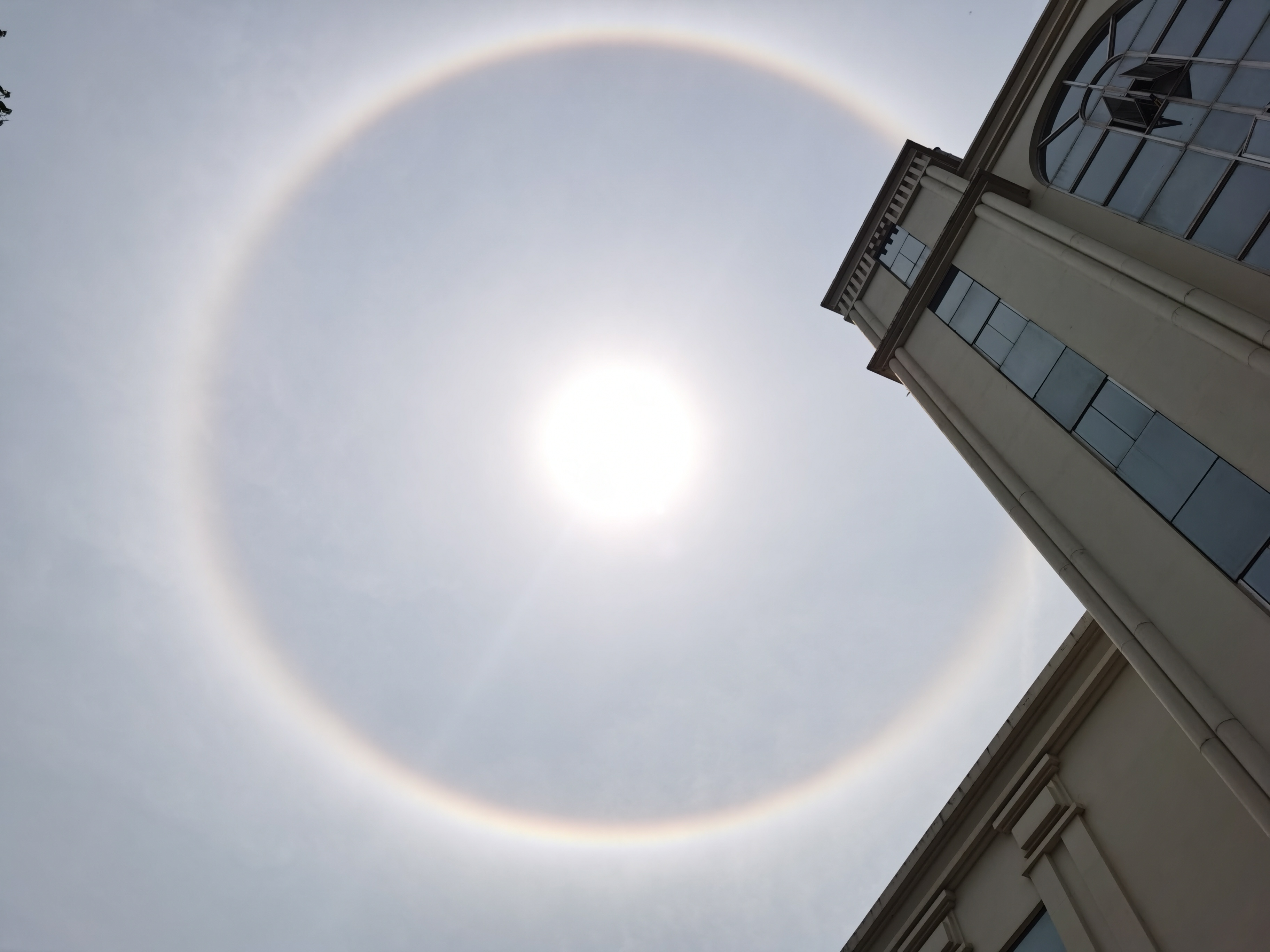 昆明出现日晕景观(2)