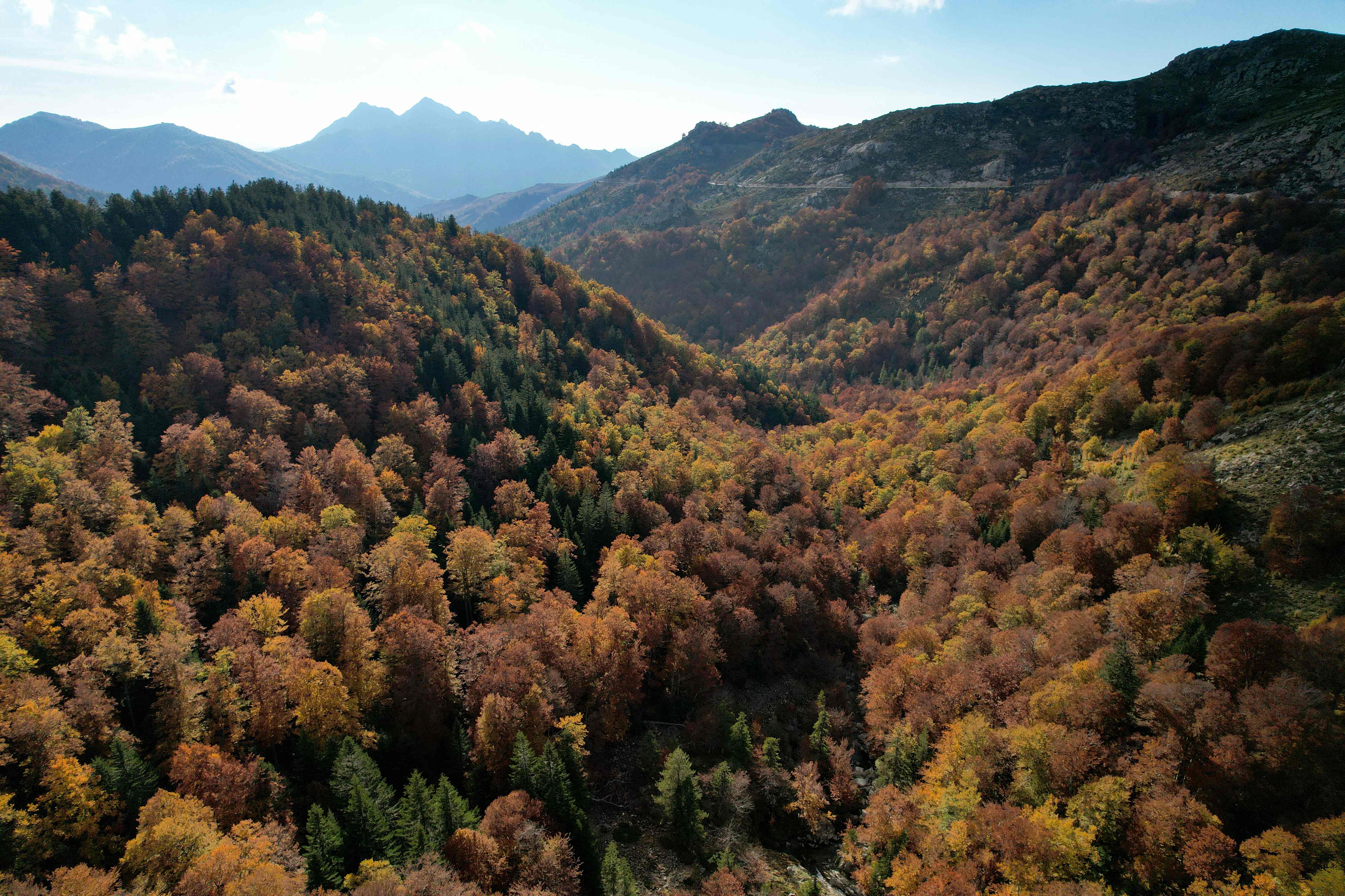 法国:层林尽染秋意浓