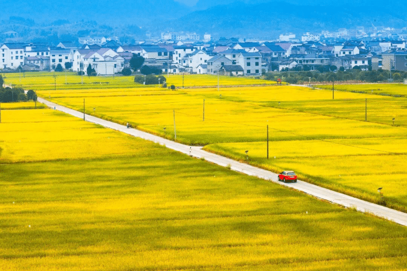 通明星球建德市大同镇稻香小镇联合推出公益文创新春年礼