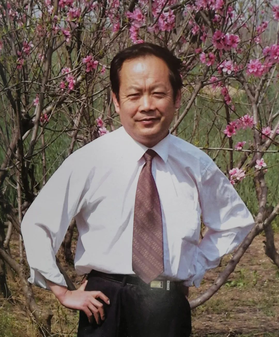 《大美为真》中国当代书画名家学术邀请展—马景岭