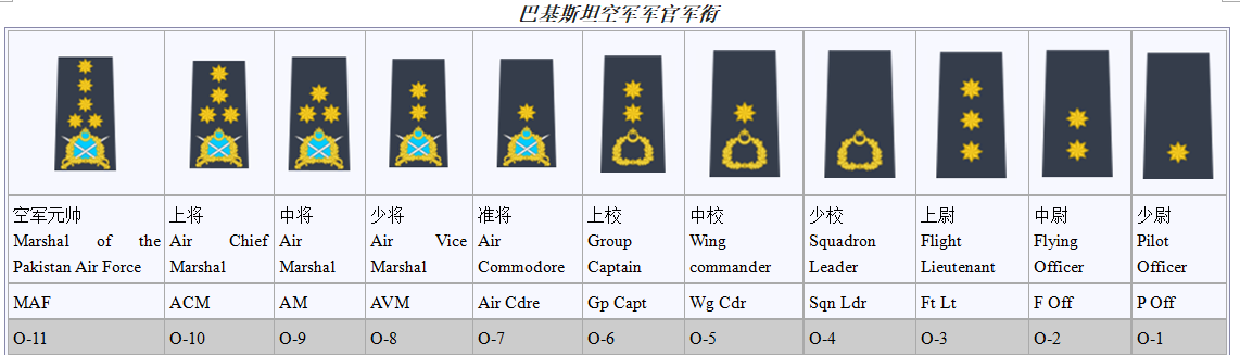 巴铁军官在珠海体验中国轻武器,他们的军衔比较复杂,如何识别?