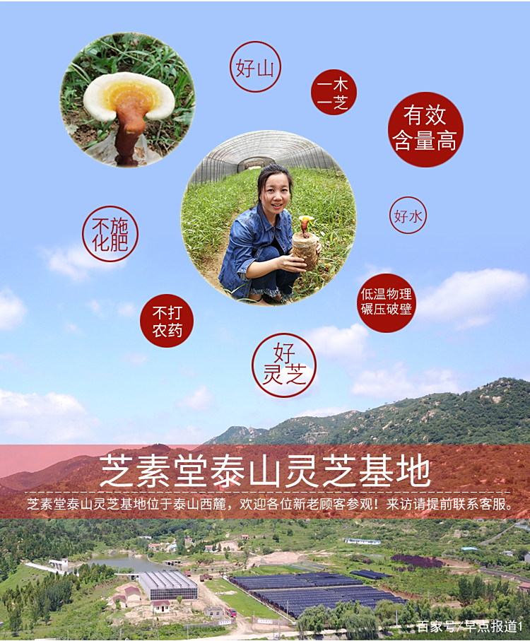 圣芝 baijiahao.baidu.com