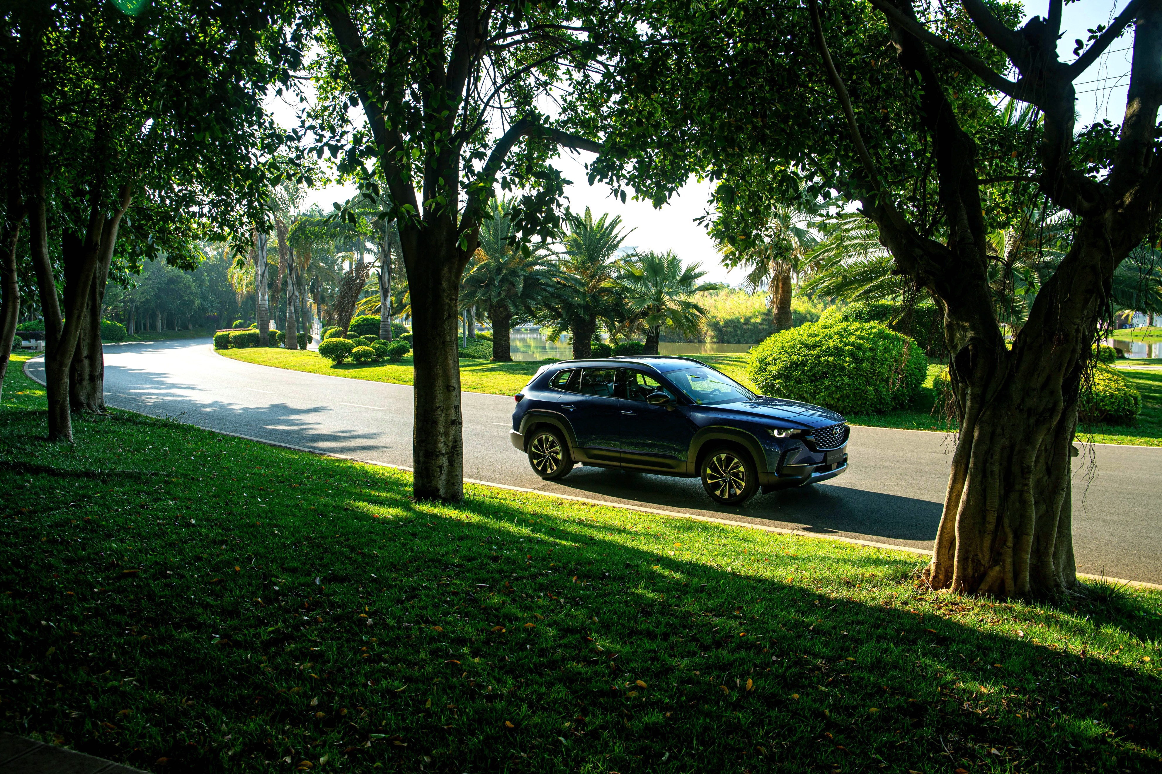 梁家辉马自达"破梗"《黑金》经典台词被颠覆