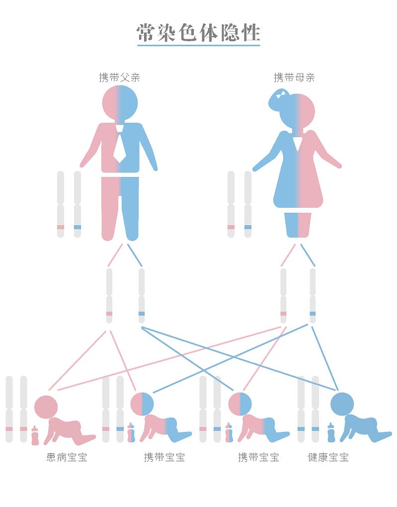 黏多糖貯積症有七種類型,其中六種類型都屬於常染色體隱性遺傳