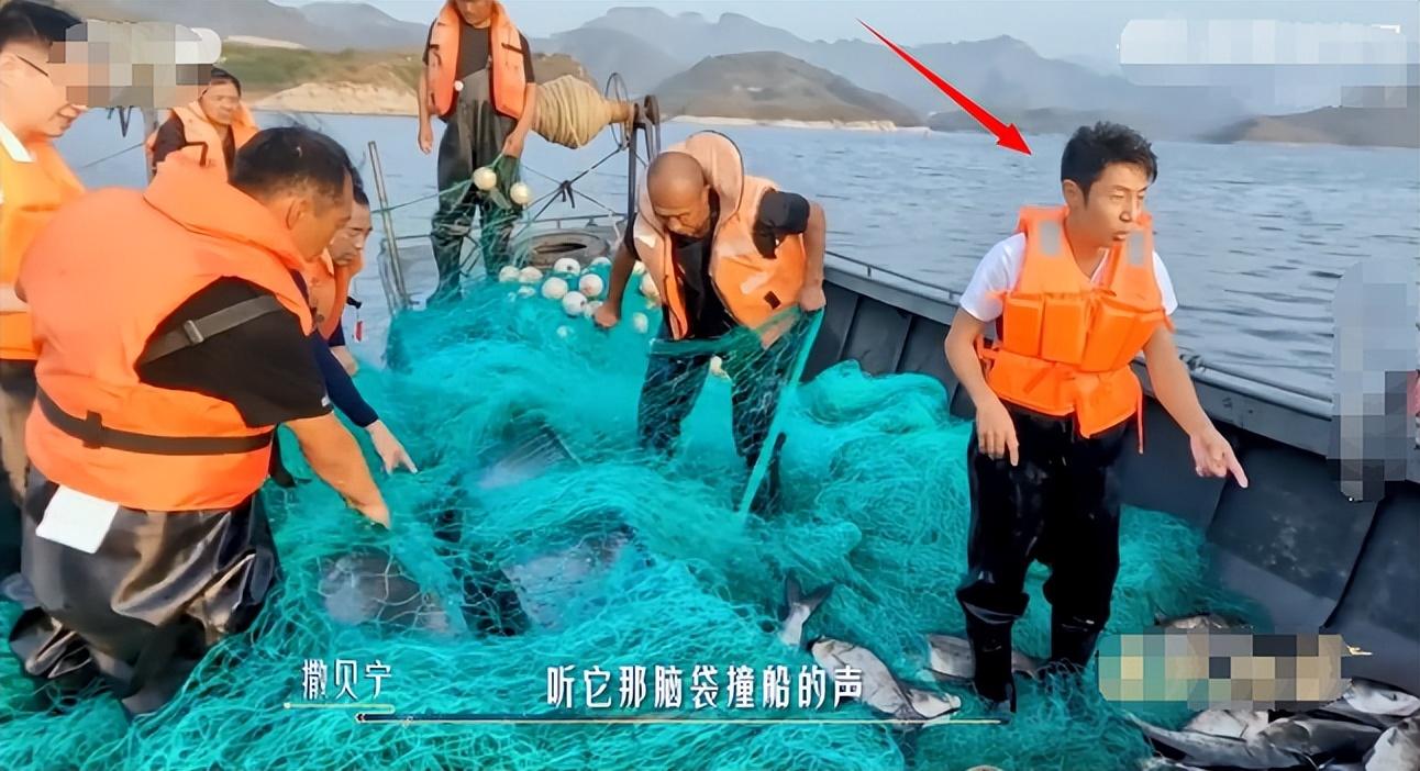 央視撒貝寧下湖撒網捕魚,被魚尾狂打臉好無奈,表情滑稽頭髮泛白