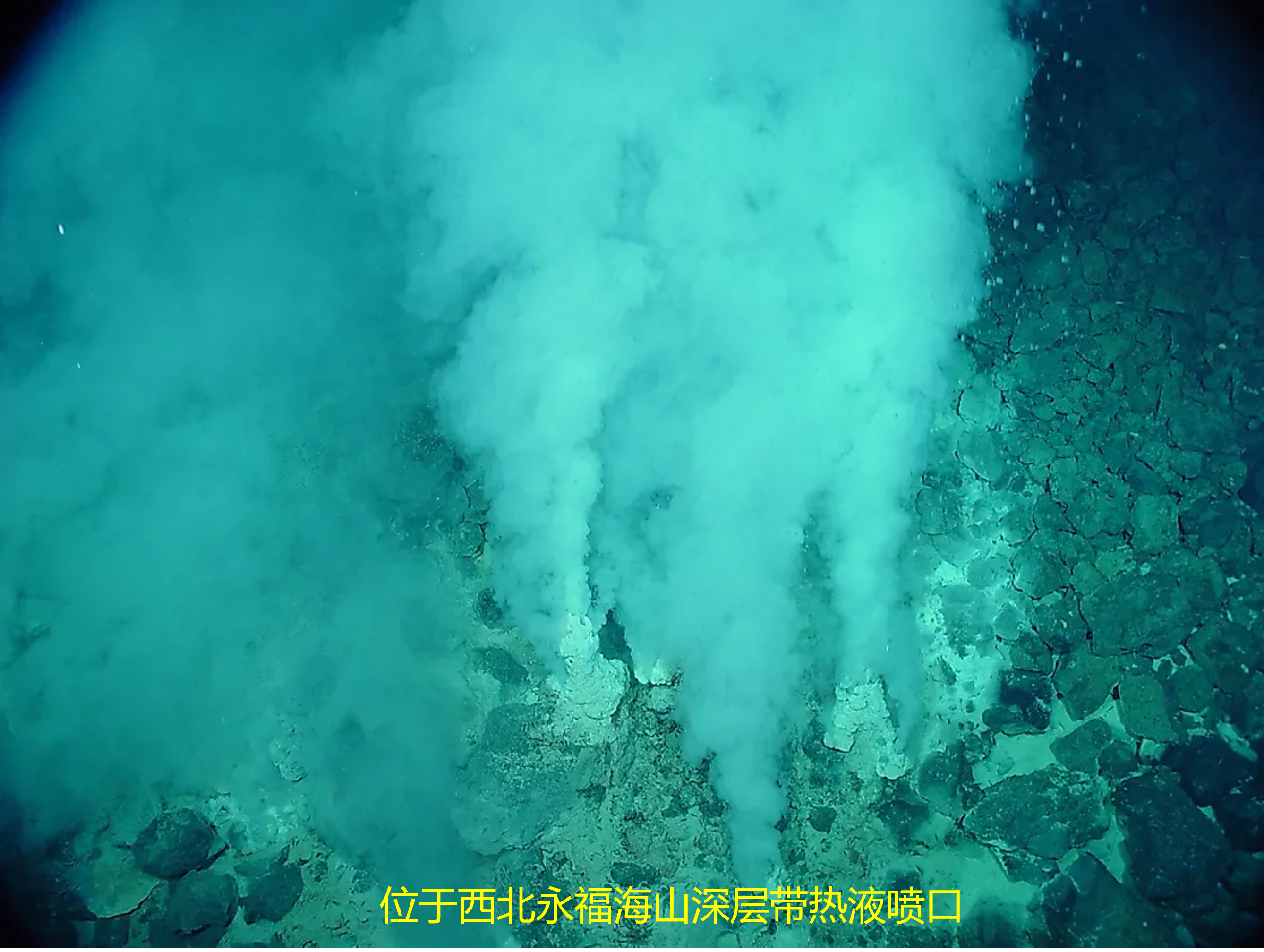 海洋垂直分为哪5个层带?各层带的生物有什么特点?