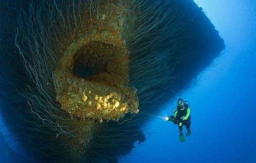 海底一万米有多恐怖?海洋的深处为什么是人类的一个禁区