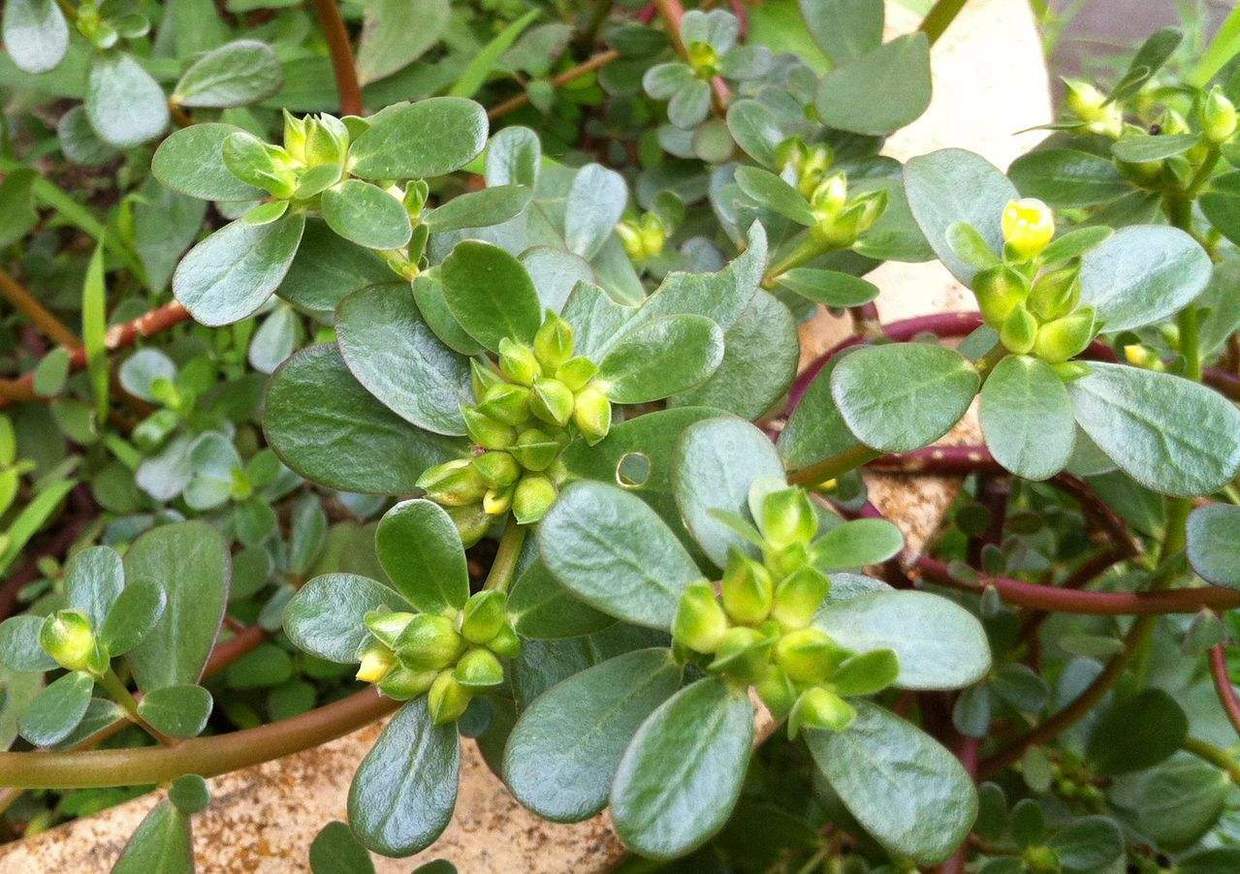 经常放屁是"肝"不好?医生提醒:放屁频繁,这3个因素应重视