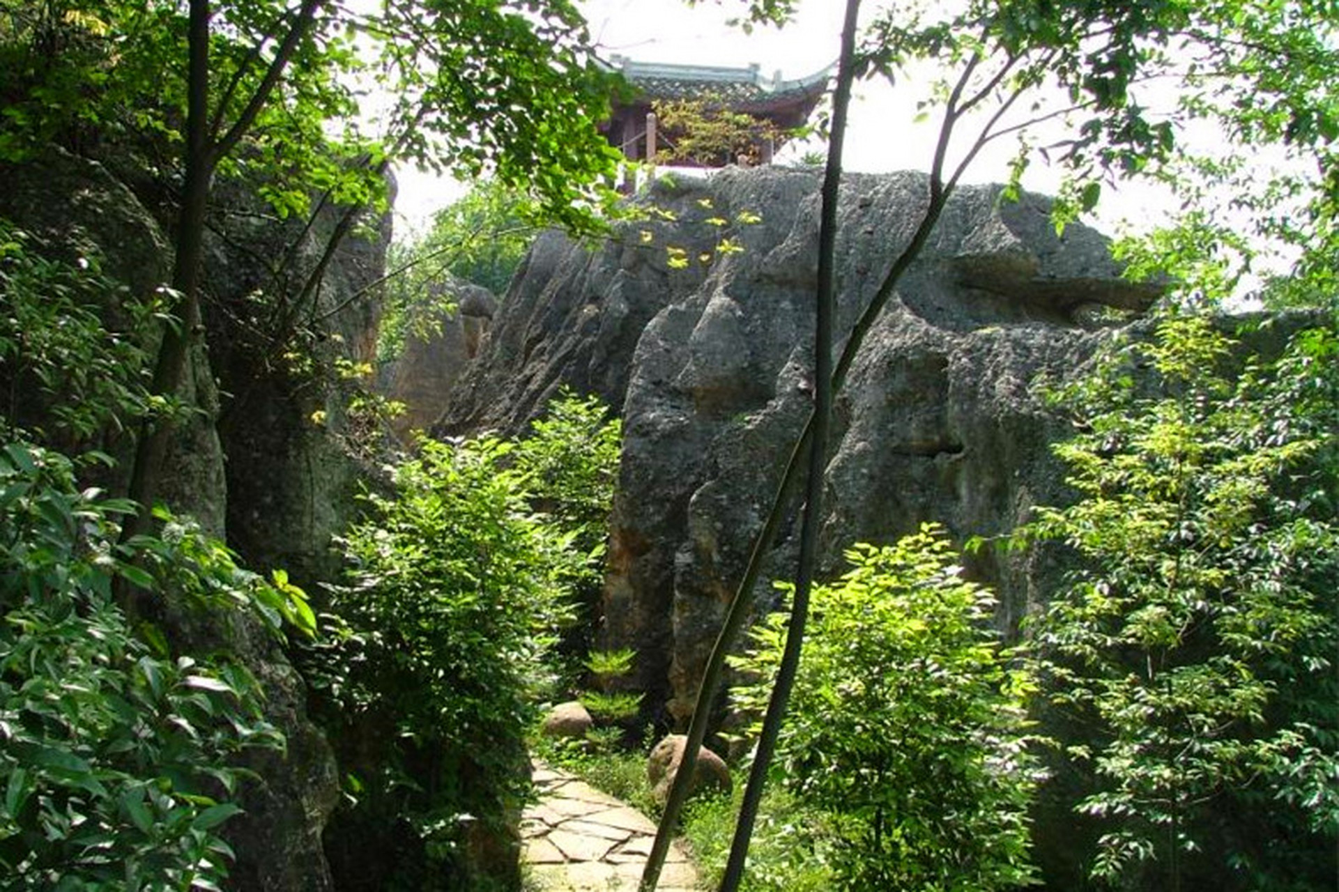 绵阳科博会太酷了#寻龙山:位于四川绵阳市北川羌族自治县永昌镇,纠腚