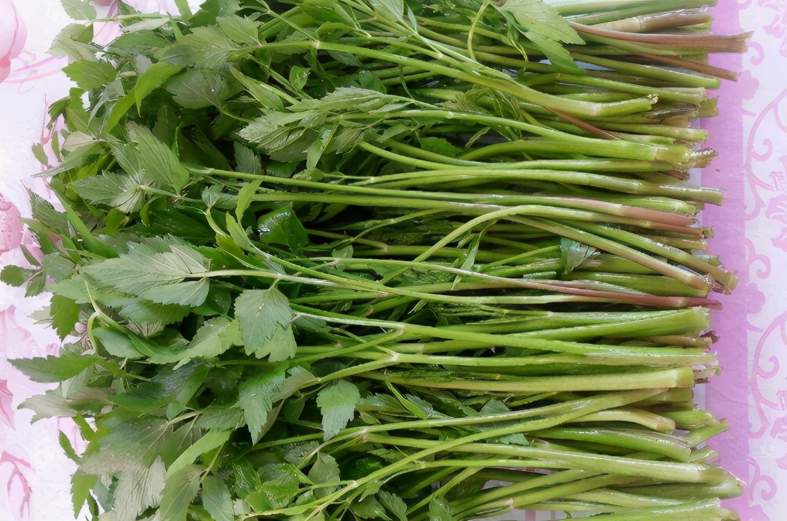 水沟边常见野芹菜,老人称强肾草,当野菜吃最香,只采茎叶不拔根