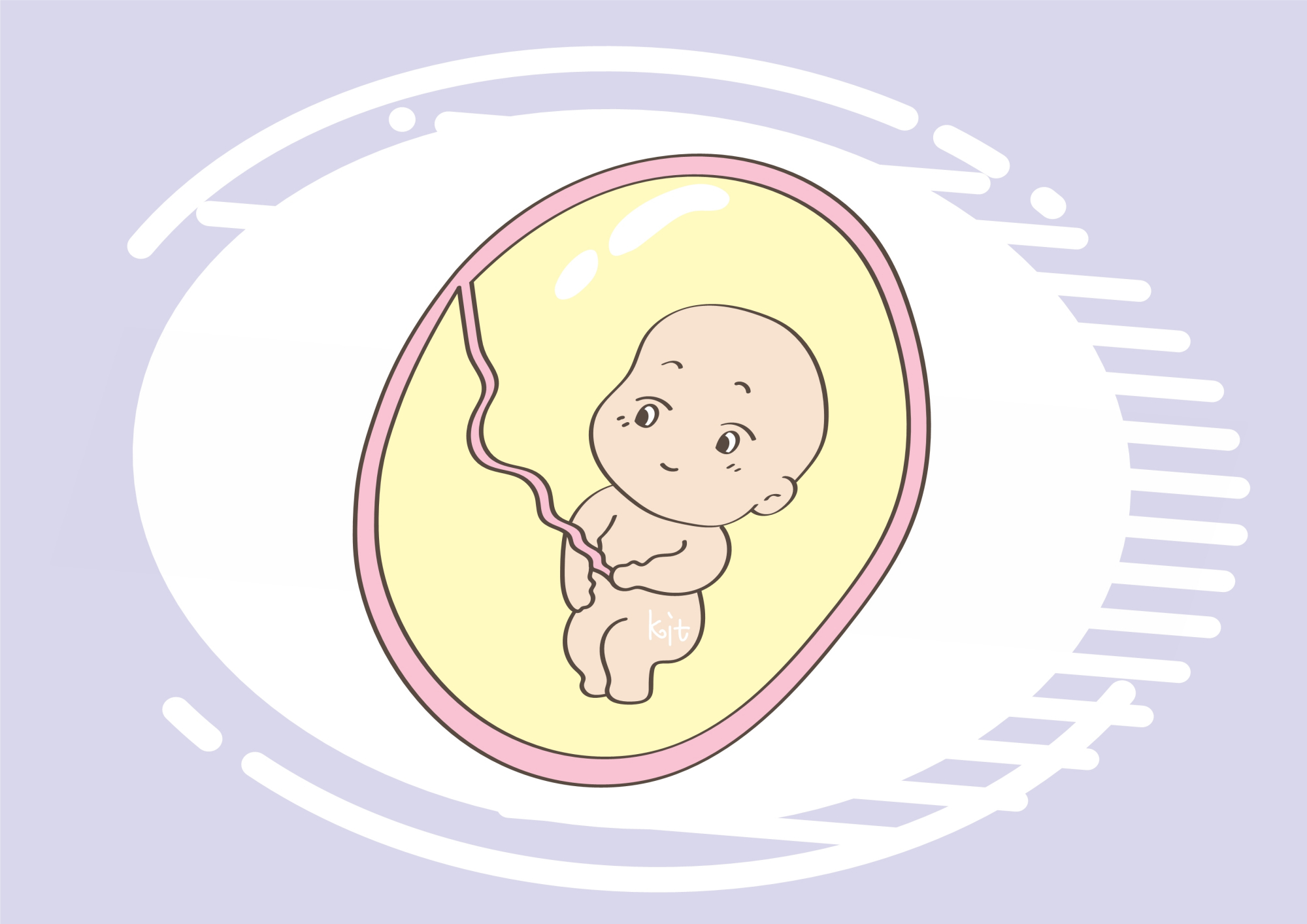 孕妈显怀和胎儿发育有关?正确了解,有助于孕育新生命