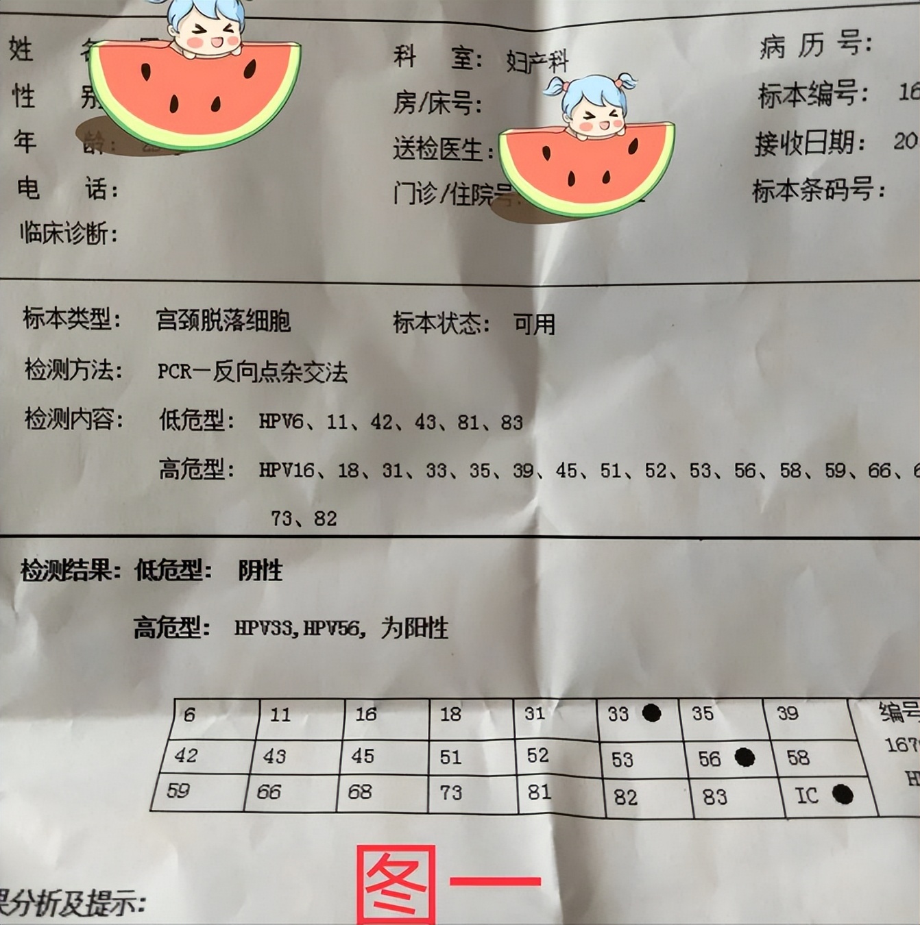 hpv阳性56高危怎么办?