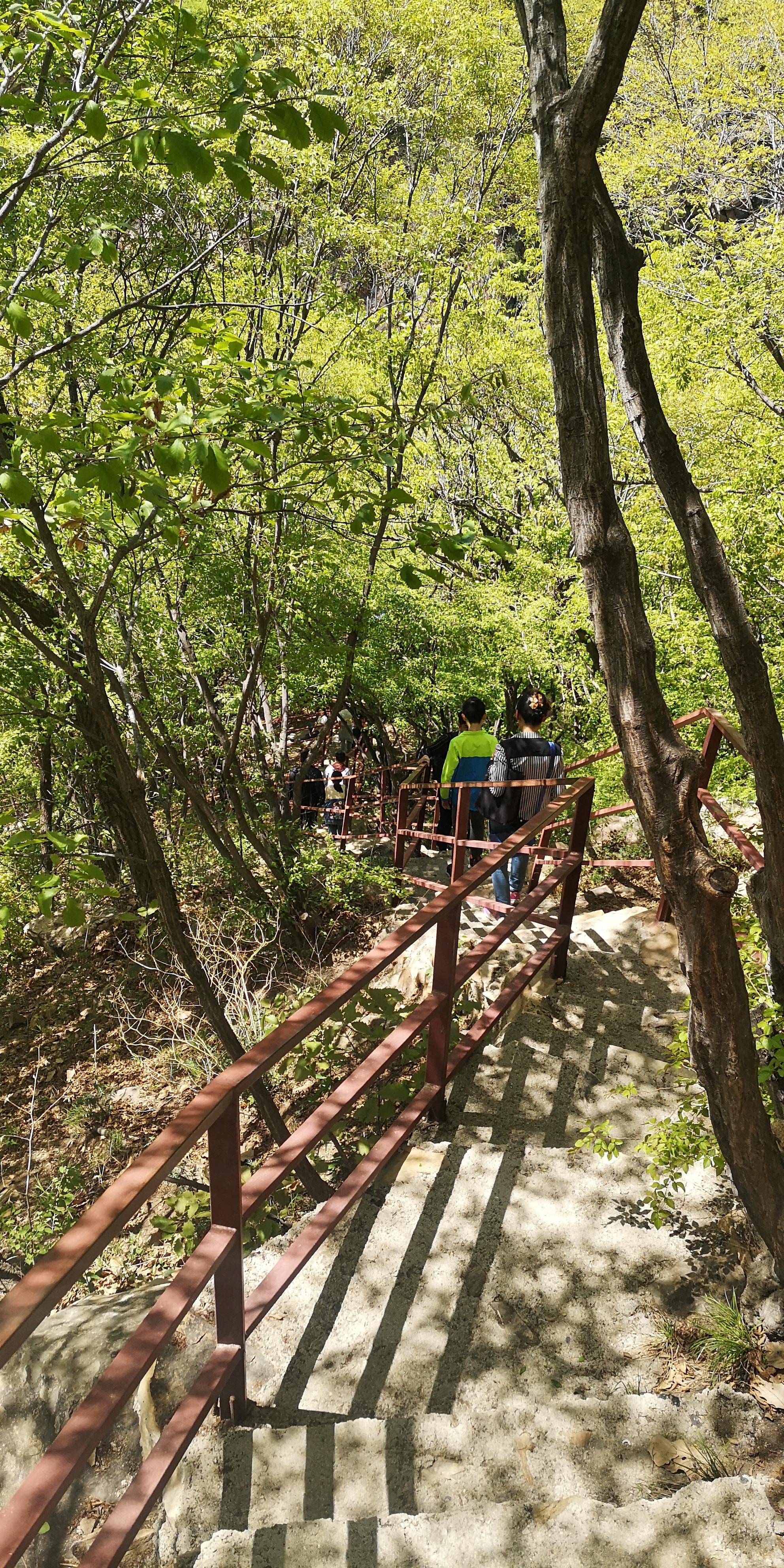 天津蓟州梨木台景区旅游攻略:上山坡缓不累,走栈道下山景色更美