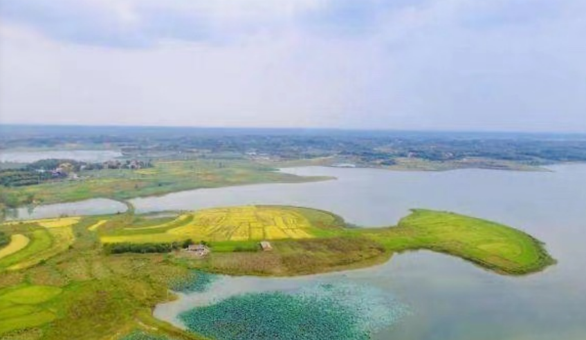 江夏湿地公园图片