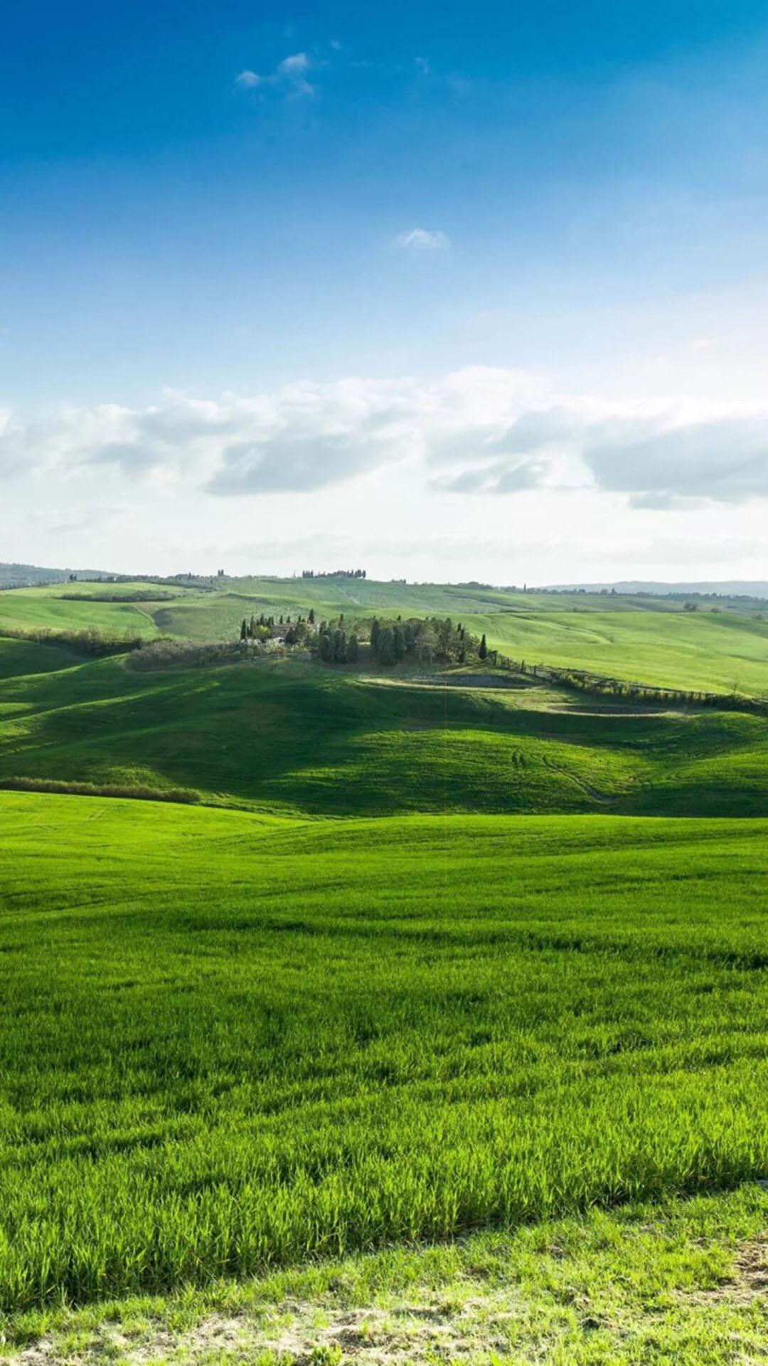 青青草原壁纸,青青草原,让你的内心不再荒芜